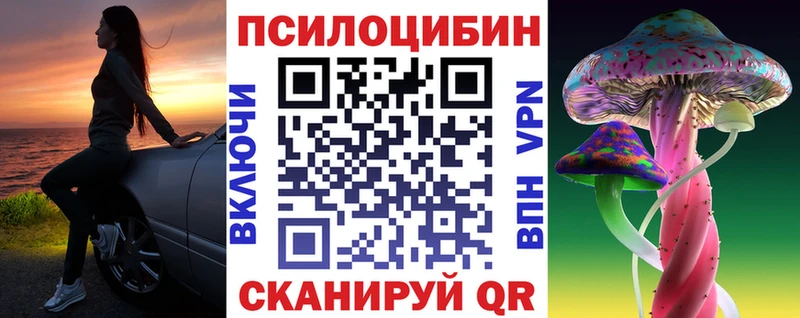 закладки Валдай Псилоцибиновые грибы MAGIC MUSHROOMS